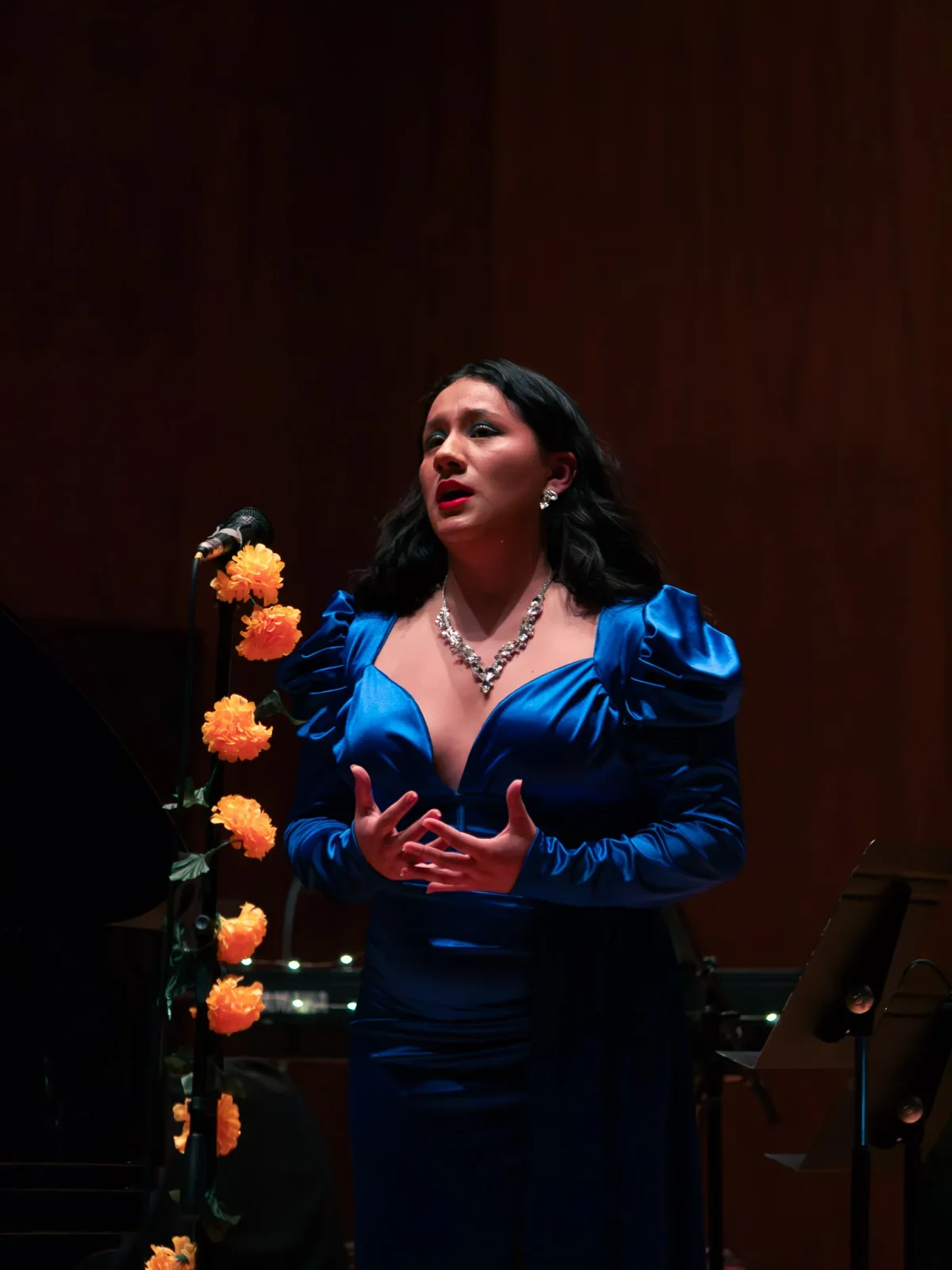 concert photography by JRMGraphy